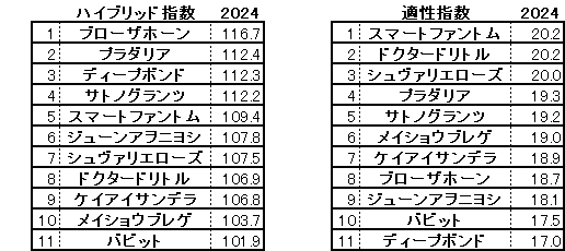 2024　京都大賞典　HB指数